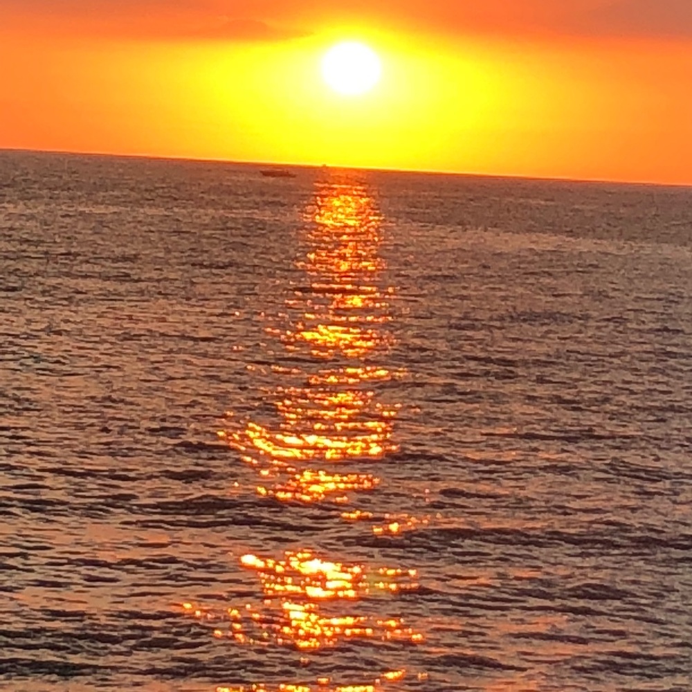 Meet your Posher, Heidi